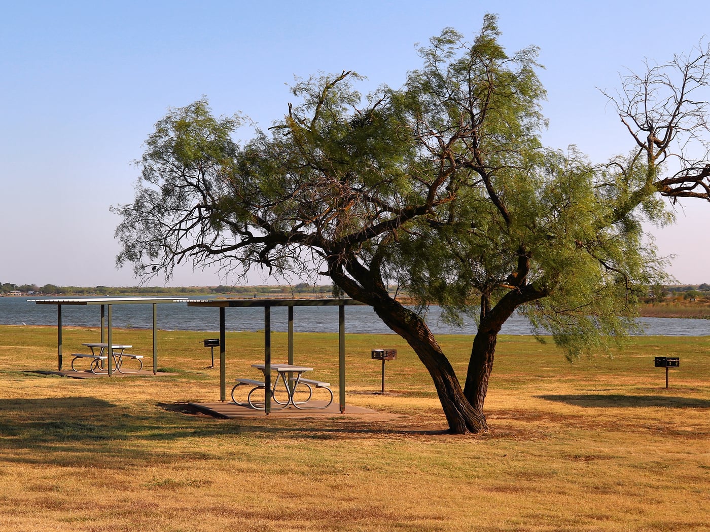 Mesquite and open ground by Horseshoe RV Park, Ranger &mdash; representative imagery, not a specific Horseshoe RV Park photo